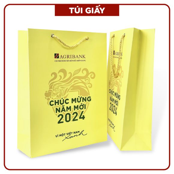 TÚI GIẤY - MẪU 02